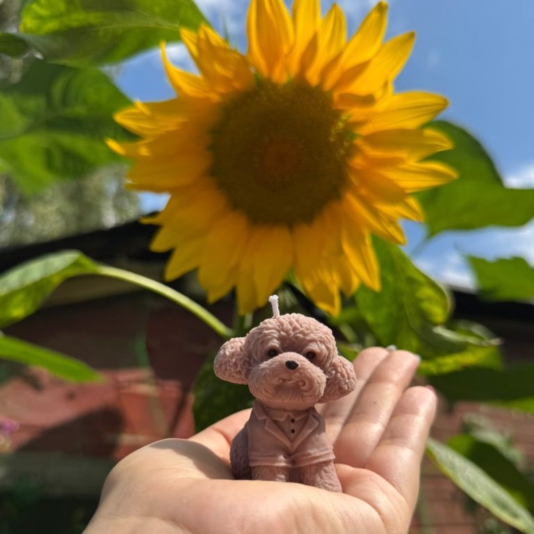 Von Auri handgefertigte Hunde-Figurenkerze im Sonnenlicht